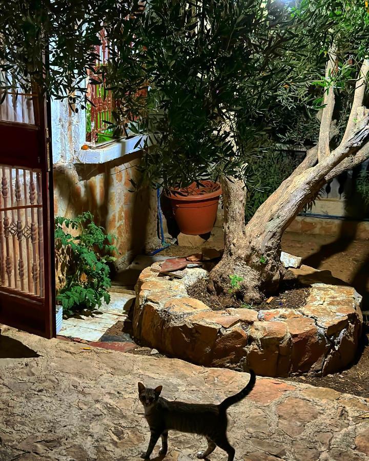 Auberge Dalia Chefchaouen Exterior foto